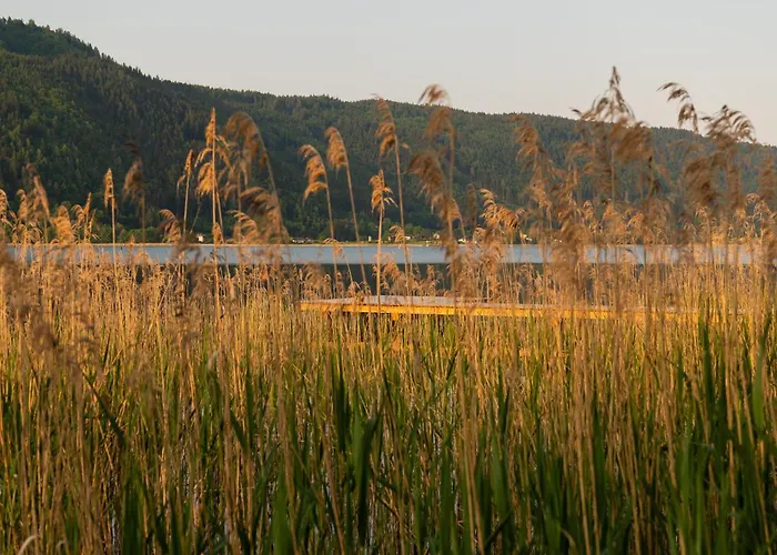 Seehotel Urban 4* Bodensdorf